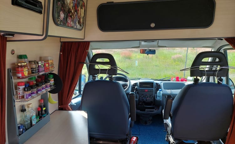 2p attractive, spacious, light Fiat bus camper