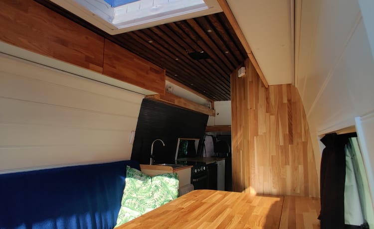 Globetrotter Vans – Super luxe Ford Campervan van alle gemakken voorzien