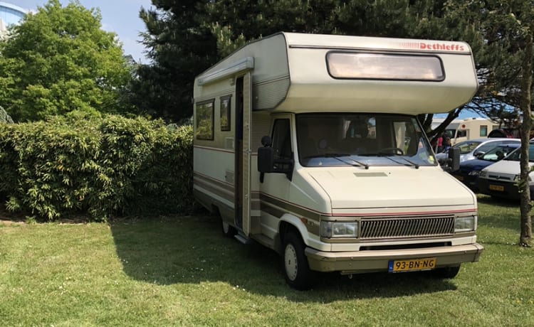 Dol-Fijn – Super gezellige familie camper