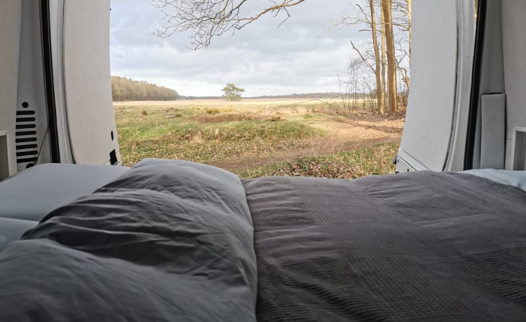 In un'avventura con un camper bus affidabile.