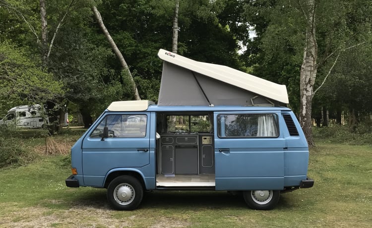 "Mya" - Klassischer VW T25