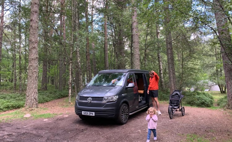 Florrie The Adventure Van - Volkswagen Transporter T6 Camper King