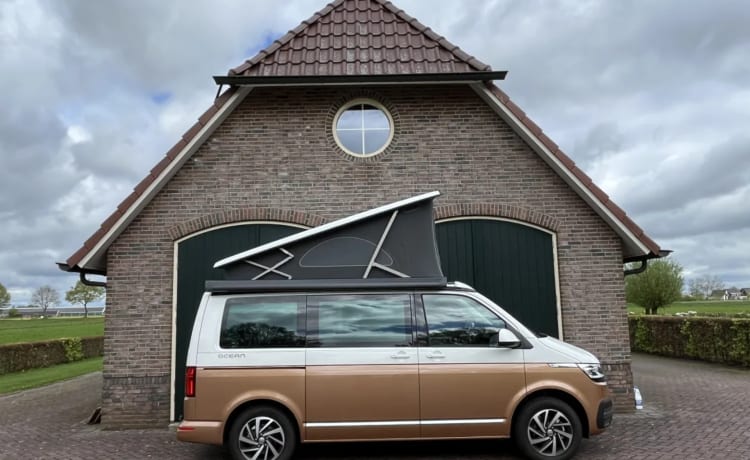 2p Volkswagen bus uit 2023