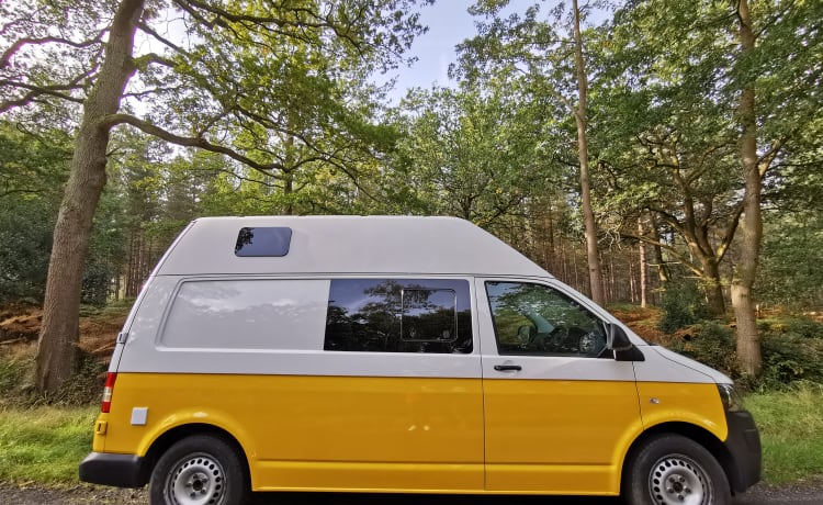 Sunny  – 4 berth Volkswagen campervan from 2015