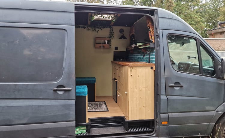 Henry – 2p off-grid Mercedes Sprinter camperbus 2007 