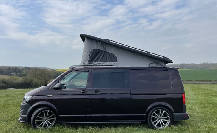 VW T6 LWB Camping-car adapté aux familles et aux chiens