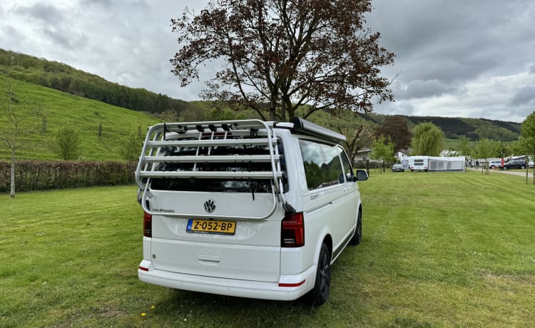 Witte VW California – Volkswagen CALIFORNIA T6 Edition (4p) aus dem Jahr 2018. Möglicherweise. mit Motorradanhänger