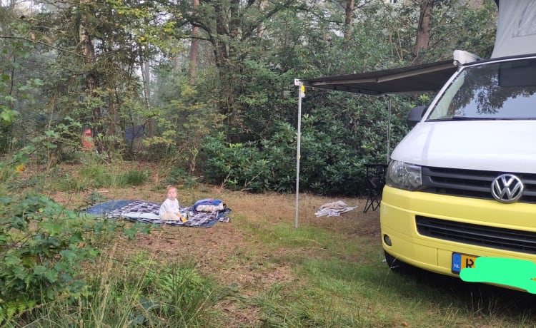 Summer yellow – 4 person campervan with cozy new Woodpecker installation