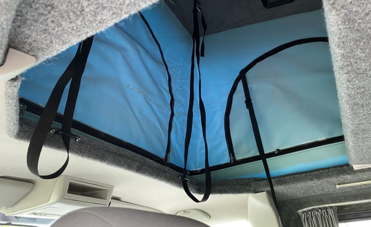 VW T5 'PopTop'  – Volkswagen T5-camper met 4 slaapplaatsen