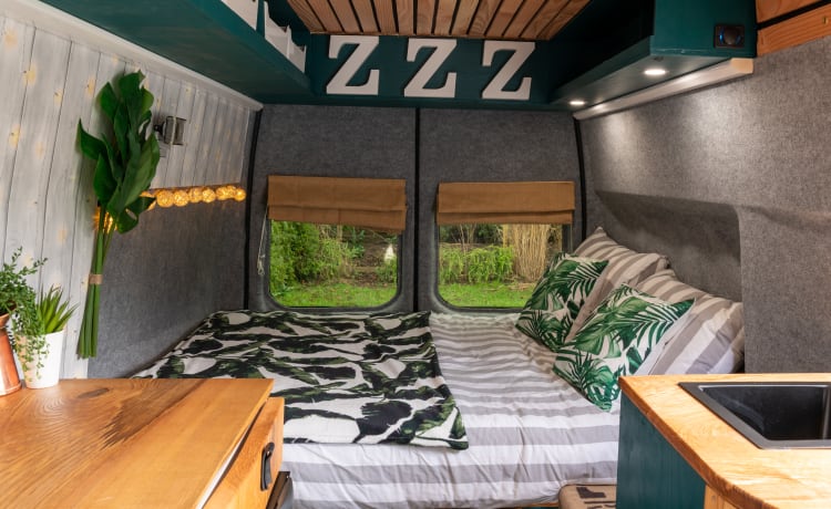 Sparrow's nest – Off-grid camper met tweepersoonsbed over de volledige lengte *Huisdiervriendelijk*