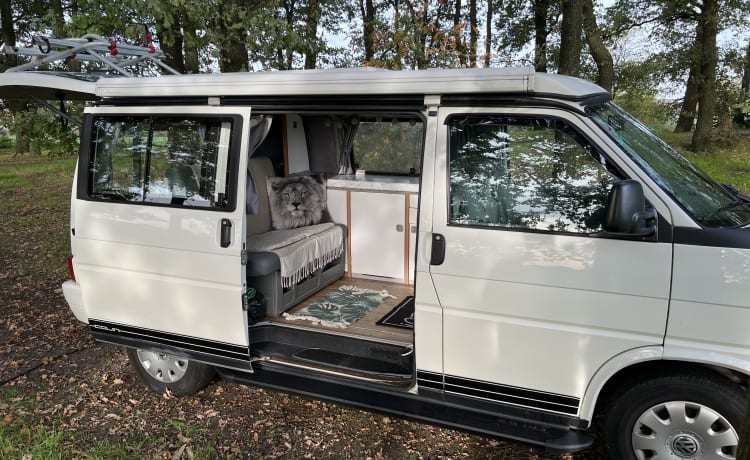 Colin de Camper – Volkswagen T4 California buscamper, top staat, off-grid met extra's