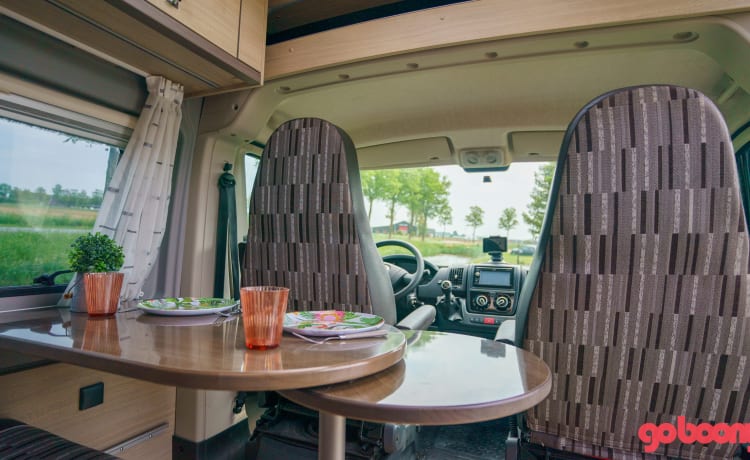 Spooky – Fiat Ducato Camper uit 2012