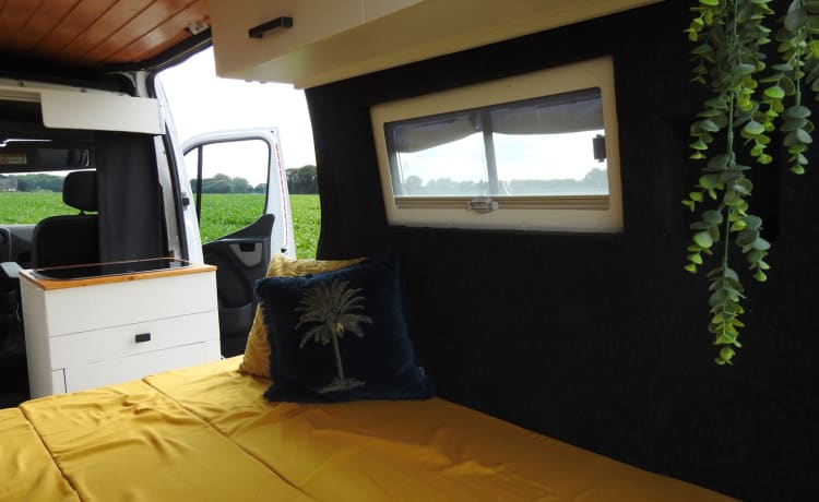 Atmosferico bus camper