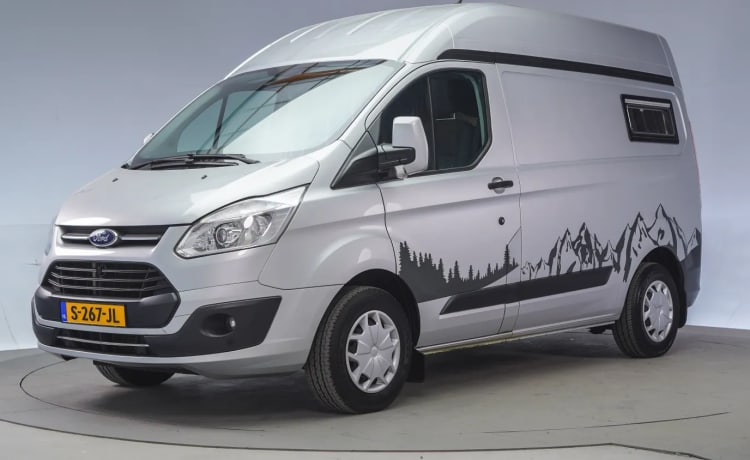 2p Ford bus uit 2018