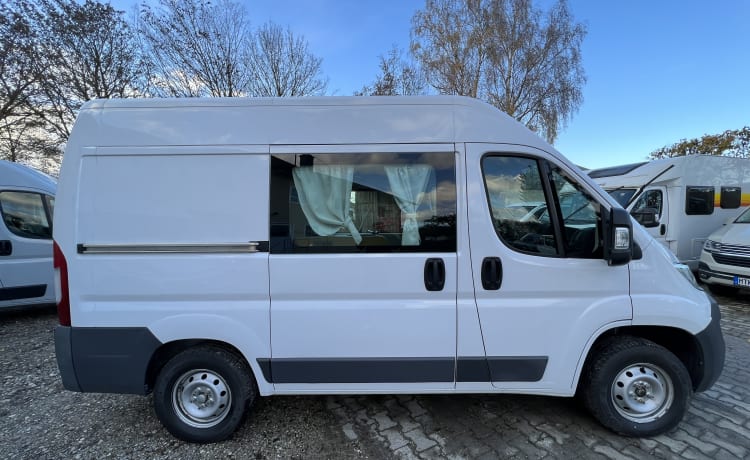 Horst – Fiat Ducato Multijet, Kastenwagen 