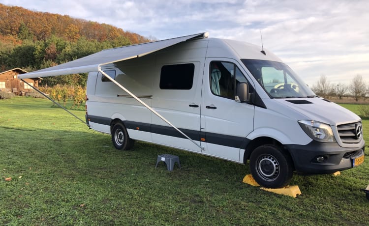 Camping-car Mercedes Sprinter extra spacieux et luxueux