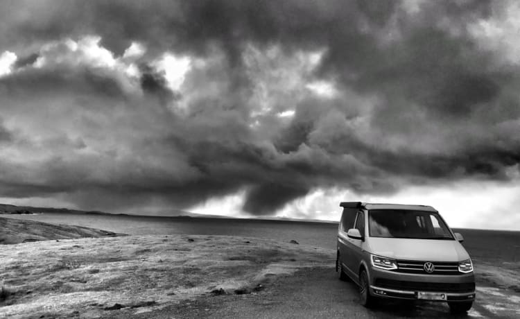 Whisky – Volkswagen California Ocean T6 2.0l TDi (2017) - High spec.