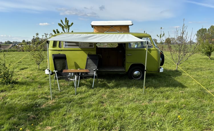 The Hulk – Westfalia – Magnifique camping-car classique à louer ! 