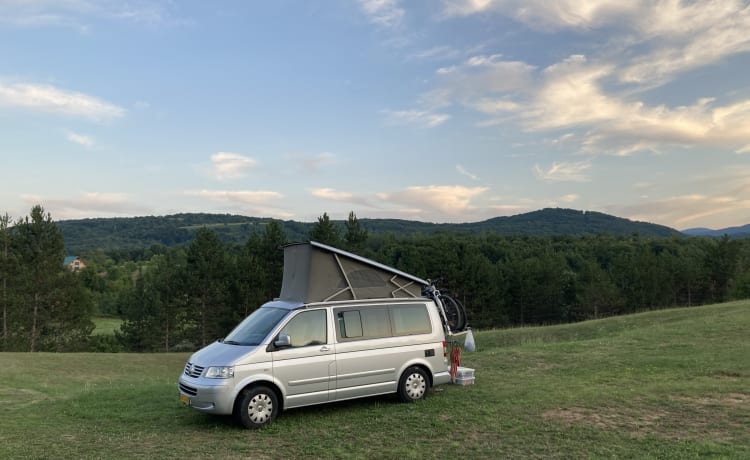 Maxie – 4p Volkswagen California T5