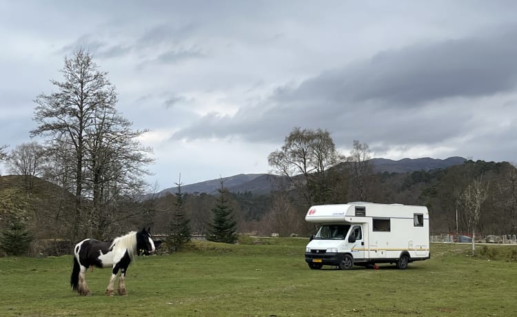 BAMBO WHEELS – Geräumiger schöner Familiencamper