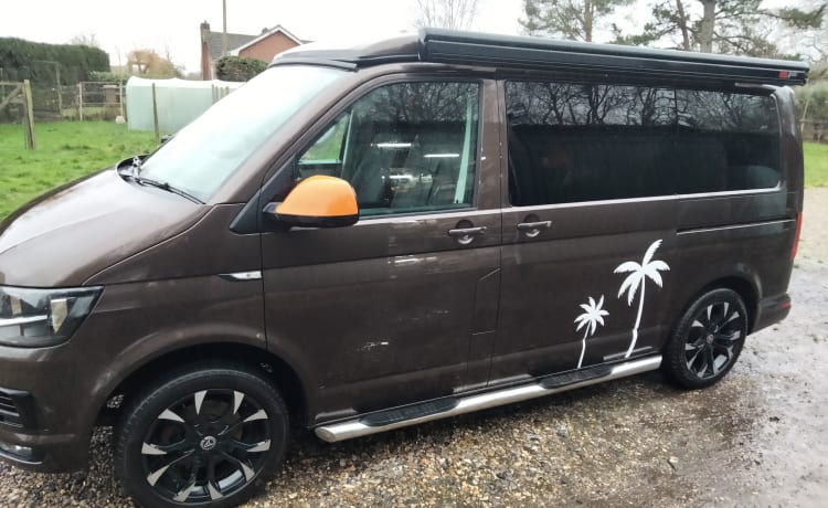 Vinnie – Volkswagen Wohnmobil mit 4 Schlafplätzen aus dem Jahr 2015