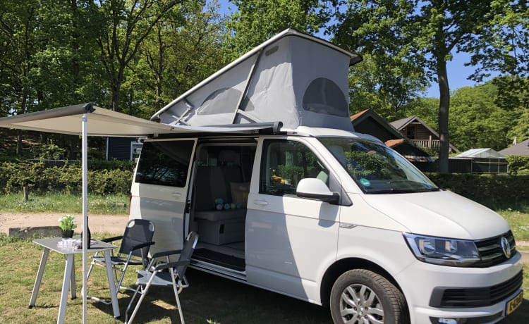 Volkswagen T6 California Ocean Camperbus uit 2018