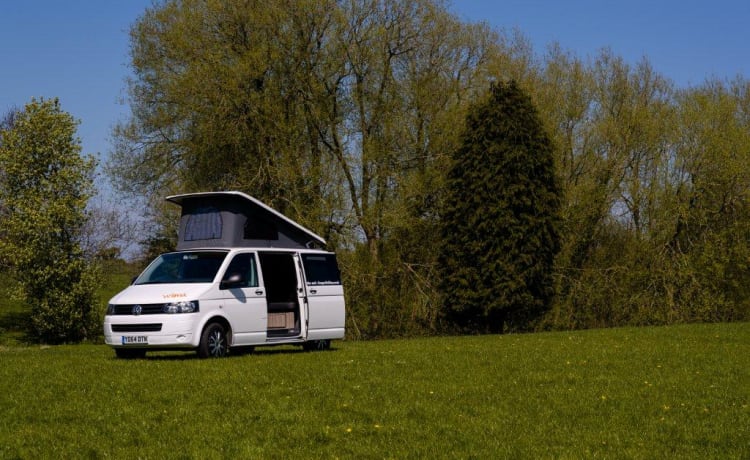 Wilma – Wilma VW T5