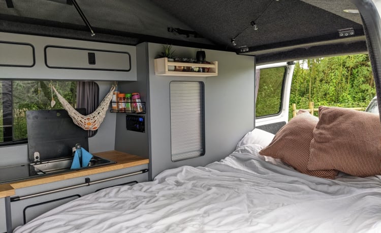 Fanny – Volkswagen VW T28 camper