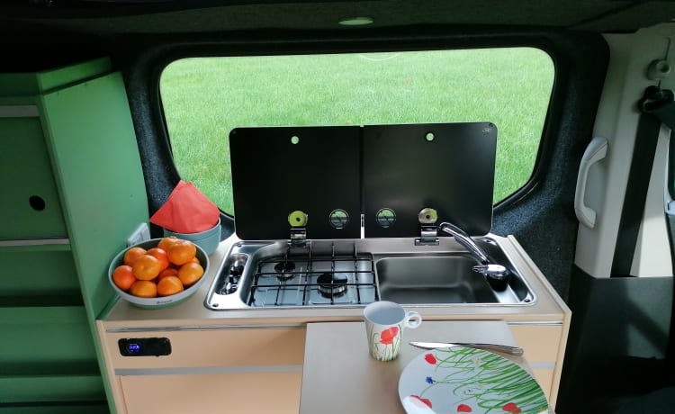 Renault traffic camper bus from 2016