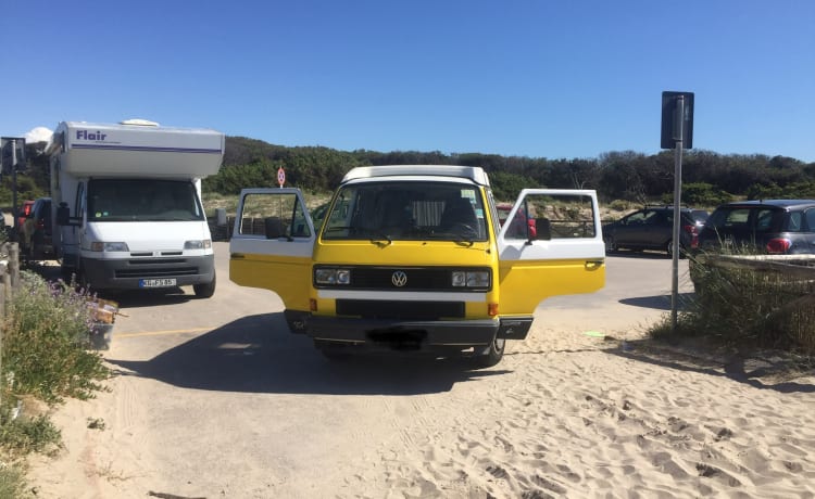 Vintage in vrijheid - T3 Westfalia