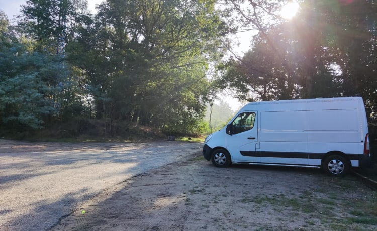 Renault Master von 2014