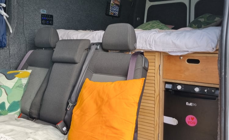 Freddy  – 2 berth campervan to explore Shetland