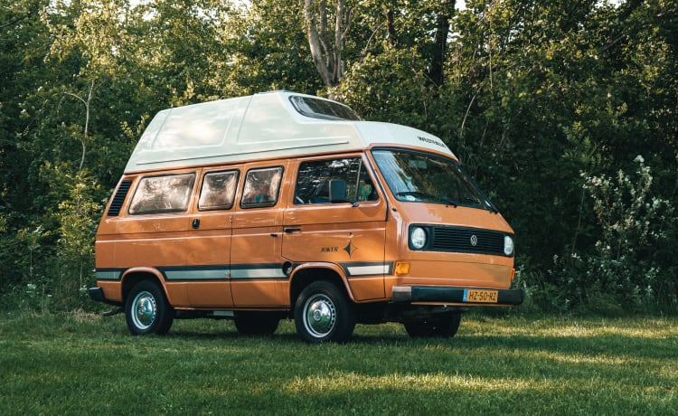 Sol – Vos vacances de rêve avec notre camping-car Volkswagen !