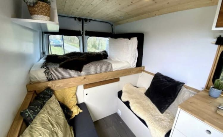 Renault Master self-build offgrid camper van