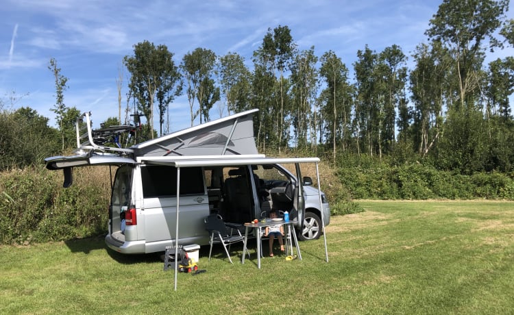 Wali – Camper Volkswagen 4p del 2010