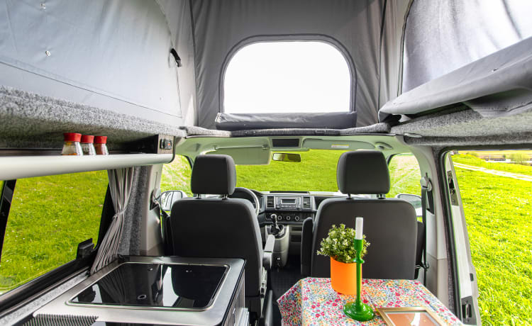 HappyWheel – Camper Volkswagen 4p del 2019