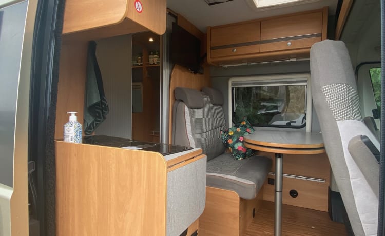 Lovely complete apartment on wheels