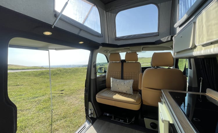 Mitch  – Superbe conversion VW T6 Camper King. 4 couchages, 5 sièges et fait tourner les têtes !