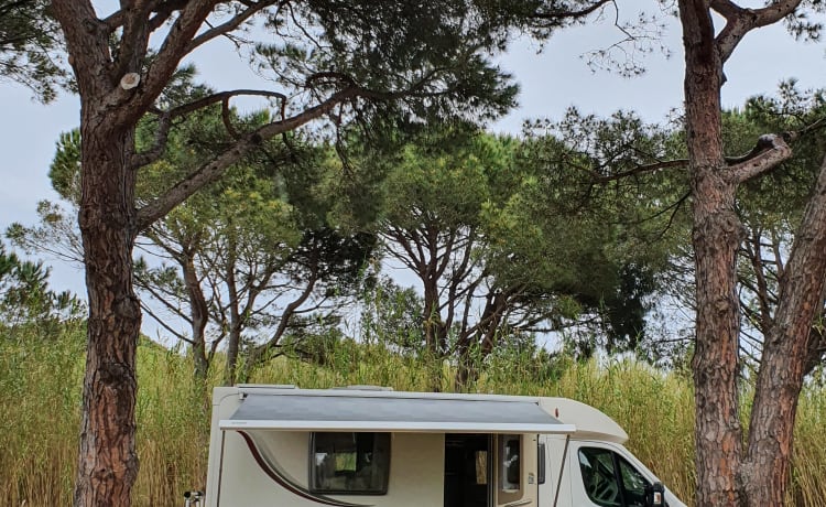 Bellissimo camper di lusso e compatto (6,40 metri) con tutto ciò che desideri...