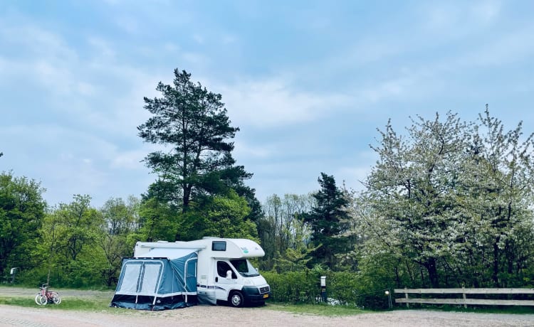 Mclouis – Camping-car familial spacieux pour 6 personnes