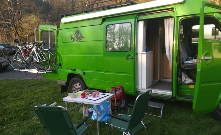 My tough Renault Master Camper