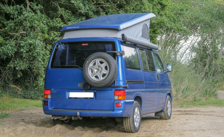 Camper californiano 4x4