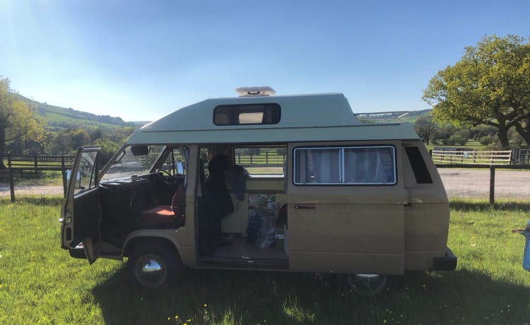 Renton – 1984 VW T25 Autohomes 1984