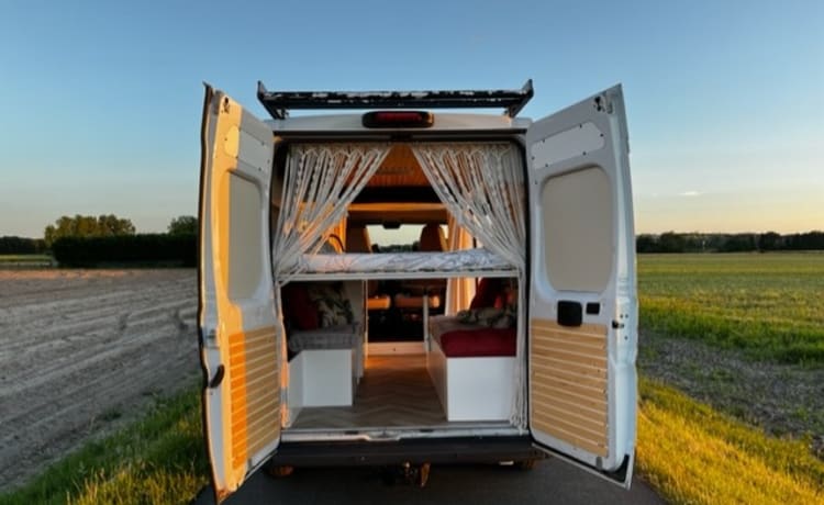 Try Vanlife – Probieren Sie Vanlife aus! in unserem Fiat Ducato Off the Grid (großes Festbett)