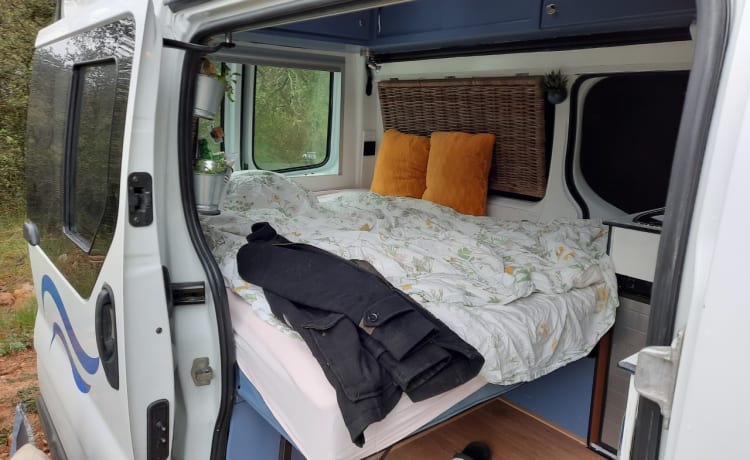 Compact bus camper with access to any city (Euro 5)