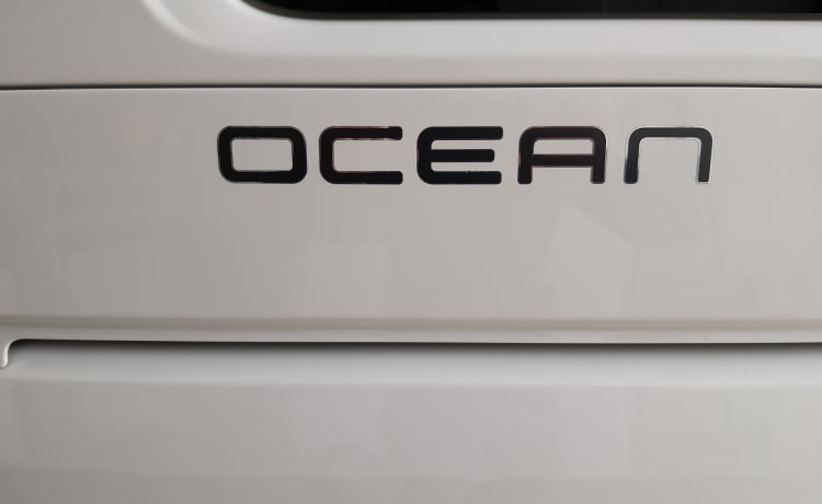 Bulli - Volkswagen California T6.1 Ocean