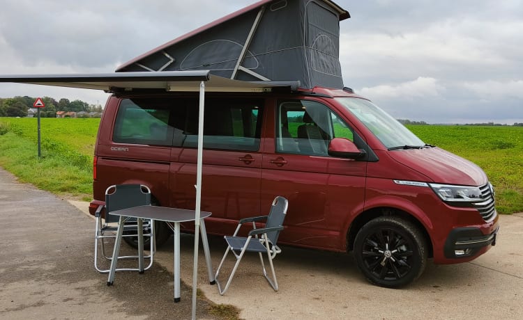 Dan The Van – Volkswagen 2022 California Coast 150 CV Diesel 6v