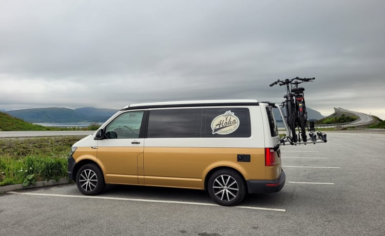 Aloha beach camper Gold – VW T6 Californie