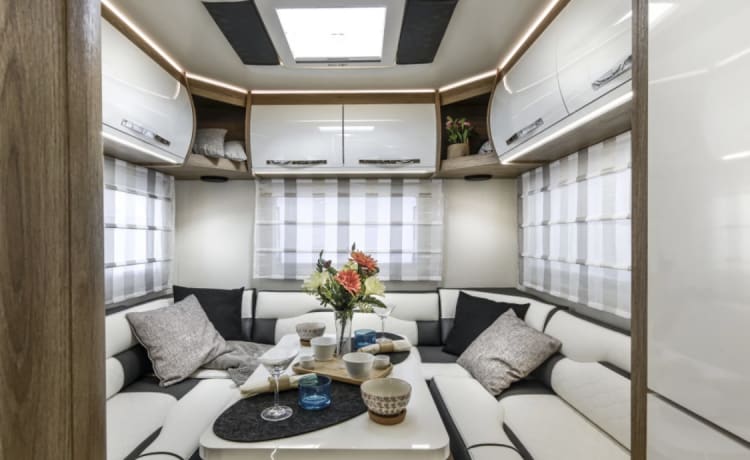 Roller Team 746 – 6 berth Roller Team alcove from 2023