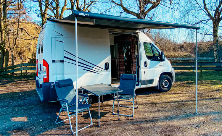 Gezellige zelfbouw (surf) bus camper